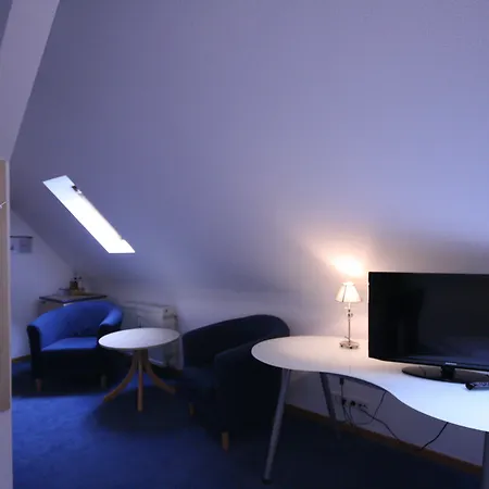 Altstadt Hotel 3*