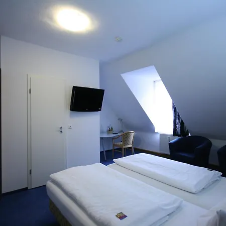 Altstadt Hotel 3*