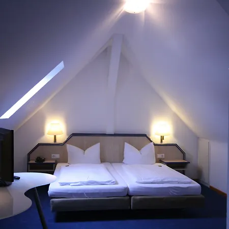 Hotel Altstadt 3*