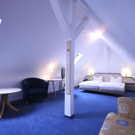 ألتشتاد 3* هايدلبرغ