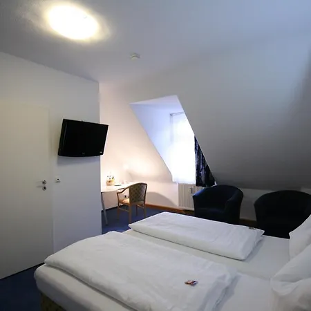 ألتشتاد هايدلبرغ